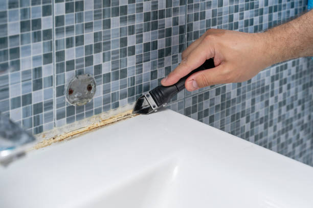 Best Mold Testing and Inspection Services in Belington, WV
